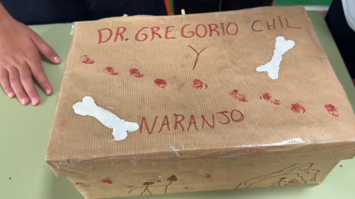 Caja de la maqueta realizada por alumnos del centro teldense (Captura de pantalla ULL)