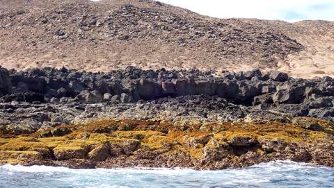 Imagen de un &aacute;rea del intermareal grancanario / TA