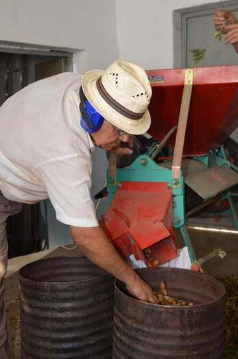 Antonio Pérez / TA