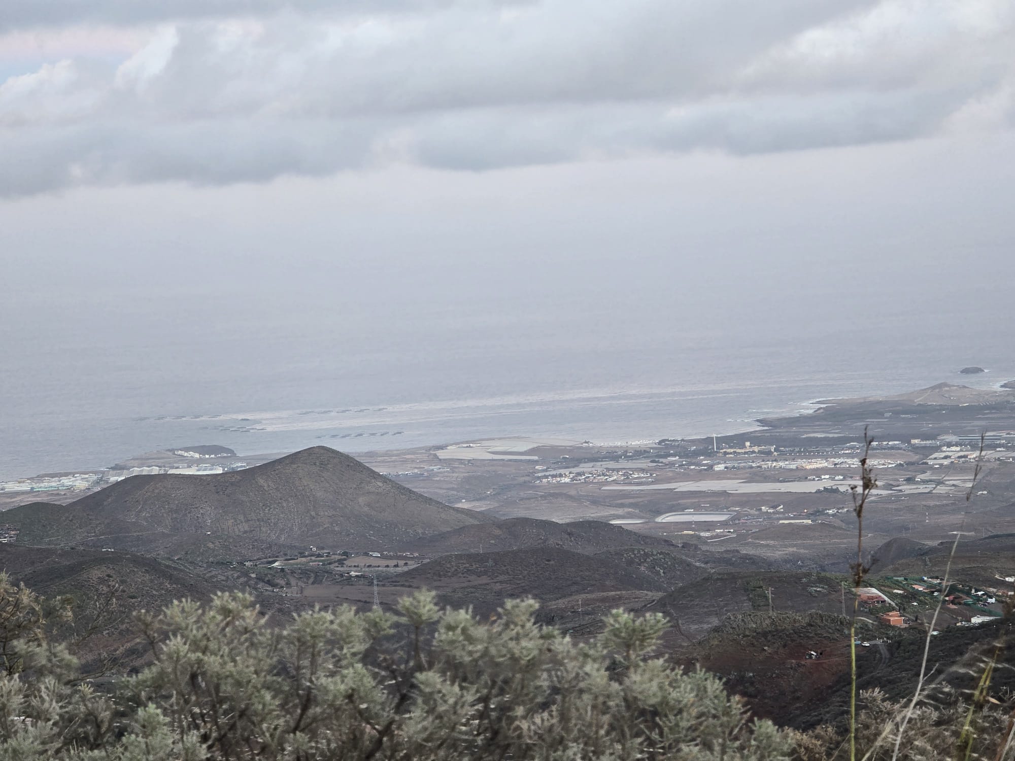 Un trabajador de las jaulas marinas alertó de riesgos biológicos antes de la mortandad en Salinetas