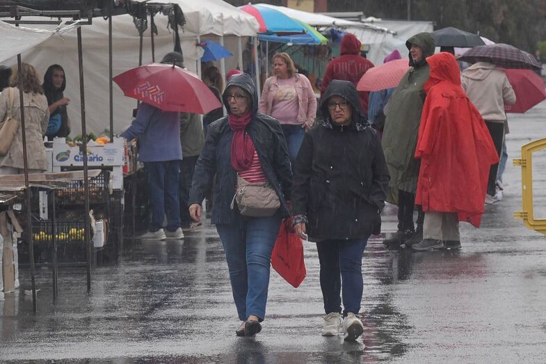 El mercadillo de Jinámar, ayer domingo pasado por agua/LP-DLP.