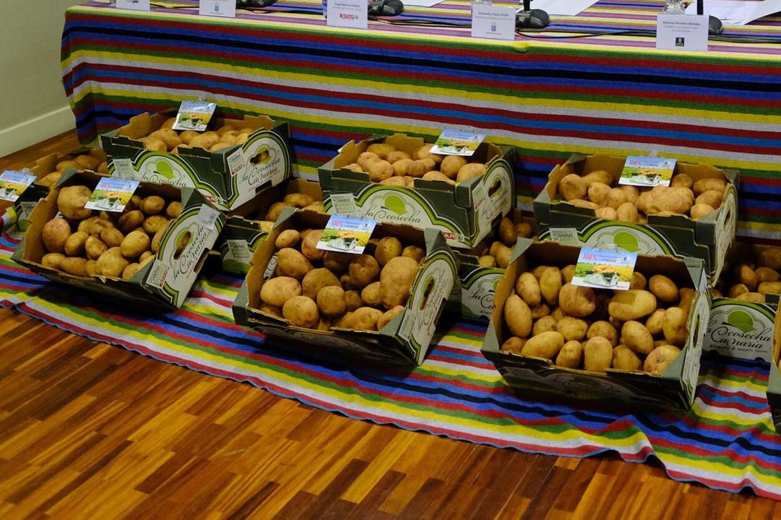 Imagen de archivo de cajas de papas de Gran Canaria