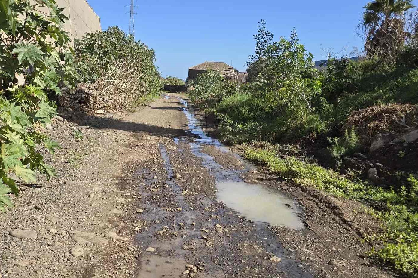 La muerte de 2.600 toneladas de lubinas sigue sin causa determinada TELDEACTUALIDAD/TeldeS&aacute;bado, 20 de Diciembre de 2025Tiempo de lectura: 3 minActualizada S&aacute;bado, 20 de Diciembre de 2025 a las 20:31:00 horas  Vertido al aire libre en el Bar